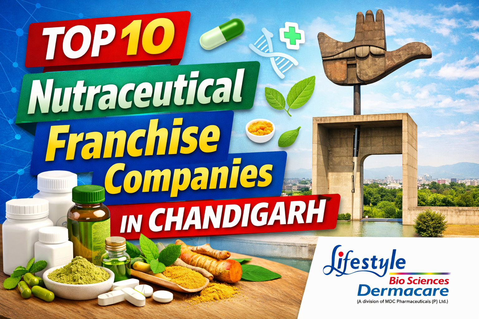 Top 10 Nutraceutical Franchise Companies in Chandigarh