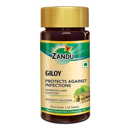 Top 10 Immunity Booster Tablet Brands In India Immune system support tablets